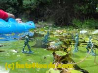 /home//u458753944/public_html/sourcegallery///Frogs/Bullfrogs 2016-08 Ontario/P8081394.JPG